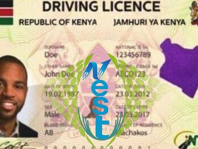 DRIVING LICENCE-3 YEARS RENEWAL